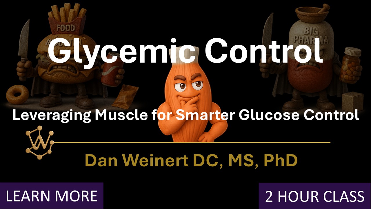 Glycemic Control: Leveraging Muscle for Smarter Glucose Contro